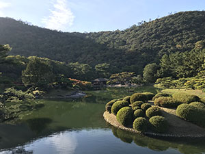 �S���N�̏W�����m���